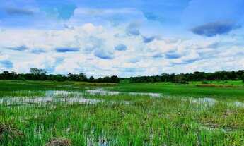 Imagem 6: Vendo Fazendinhas 20.000m² Financiadas em Sete Lagoas