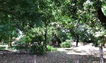 Imagem 3: Terreno para Venda em Cuiabá, Parque Ohara