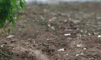 Imagem 3: Casa para venda tem 140 metros quadrados com 2 quartos em Pedra de Guaratiba - Rio de Jane