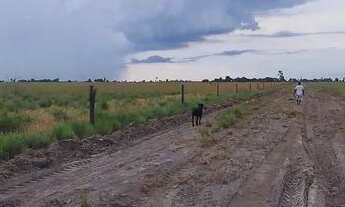 Imagem 3: VENDE-SE ESTA ÁREA DE LAVRADO DE 102 HECTARES