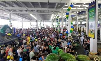 Imagem 4: MEGA LOJA COM 2.305 m² - PALHOÇA - SC