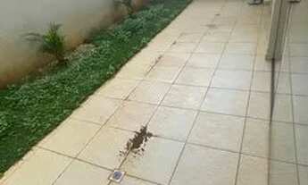 Imagem 3: Aluguel garden 80m - TAGUÁ LIFE CENTER