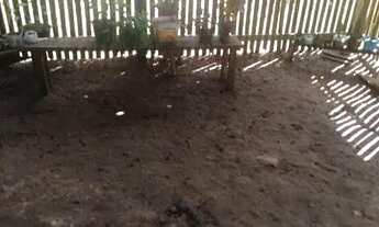 Imagem 3: Motivo da venda trabalho