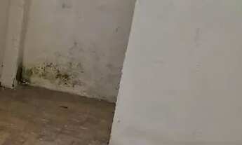 Imagem 3: Aluga-se flat em Messejana