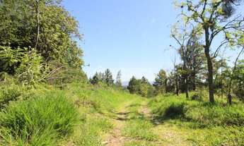 Imagem 3: SãO LEOPOLDO - Terreno Padrão - Campestre