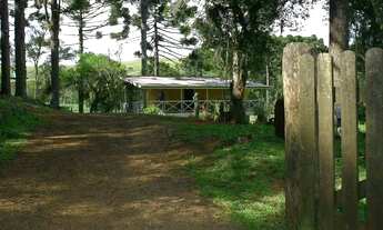 Imagem 5: Sítio na Barragem do Salto em São Francisco de Paula!