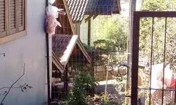 Imagem 2: Casa no bairro Distrito Industrial em Canela/RS