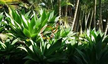 Imagem 3: Casa com 3 dormitórios para alugar, 93 m² por R$ 4.900,00/mês - Granja Viana - Carapicuíba