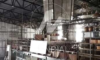 Imagem 4: Salão/Galpão (salão - térreo