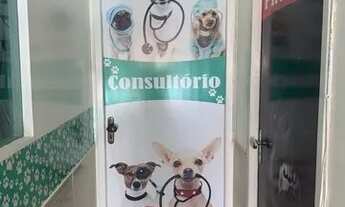 Imagem 4: OPORTUNIDADE CLÍNICA VETERINÁRIA