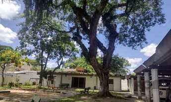 Imagem 4: APTO REFORMADO, MUITO AMPLO , 01 DORMITÓRIO, ÓTIMA LOCALIZAÇÃO - CRISTAL