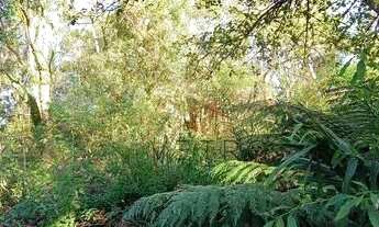 Imagem 7: Terreno no bairro Lago Negro em Gramado!