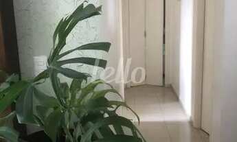 Imagem 2: São Paulo - Apartamento Padrão - Alto da Moóca