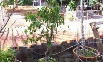 Imagem 6: Excelente Imóvel no Alto da Boa Vista