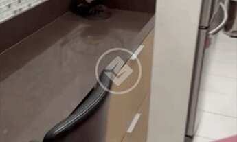 Imagem 6: Apartamento Mobiliado, 2 Quartos - Vila Maria José codigo: 23840