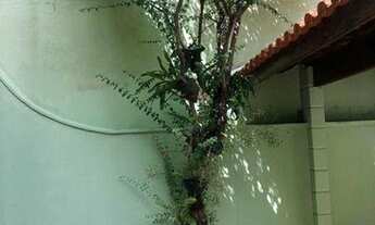 Imagem 2: Sobrado com 3 dormitórios, 133 m² - venda por R$ 750.000,00 ou aluguel por R$ 3.500,00/mês