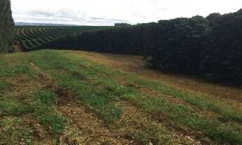 Imagem 6: Fazenda em araxa 1.100 hectares 34.000.000.00