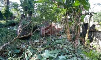 Imagem 5: Terrenos em Pendotiba- Rua Do Country Club