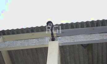 Imagem 6: Cobertura em Teresópolis