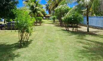 Imagem 3: Chácara no mosqueiro