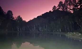 Imagem 6: Troco ou vendo, chácara com casa de 3 quartos, oportunidade !