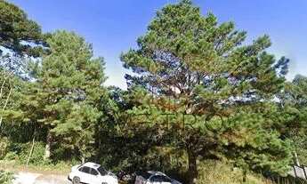 Imagem 3: Terreno no bairro Floresta em Gramado!