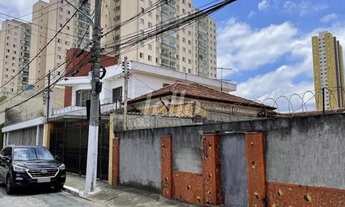 Imagem: São Paulo - Terreno Padrão - Tatuapé