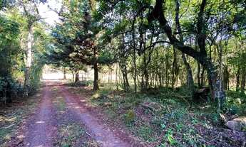 Imagem 7: Sítio Com Entrada De 4.900 E Parcelas De 650. ROB:774