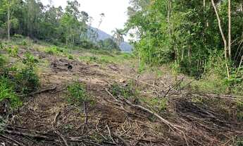 Imagem 5: Sítio "nobre" perto do centro Araricá 6.7 hectares