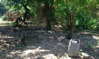 Imagem 7: Excelente terreno muito grande