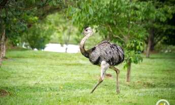 Imagem 3: Terreno Lote Aldeia do Vale