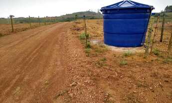 Imagem 5: IMÓVEL RURAL COM 50 HECTARES PRA ARRENDAMENTO PRA PLANTAR CAFE OU GADO, PLANA EM MG!!