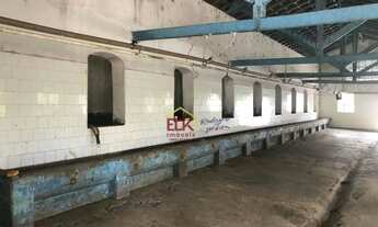 Imagem 6: Fazenda com 10 dormitórios à venda, m² por R$ 70.000.000,00 - Fazenda Caetê, - Santa Bran