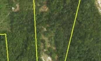 Imagem 4: VENDO TERRENO COM 81 MIL METROS NO DISTRITO 2