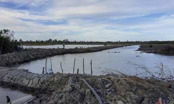 Imagem 5: Vendo Ilha no São Francisco - Próximo a Piaçabuçu