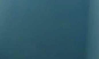 Imagem 6: VENDA APARTAMENTO NO DONA LINDU