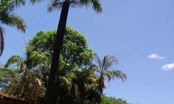 Imagem 7: *Ótima Oportunidade de Adquirir Sua Fazenda dos Sonhos!*