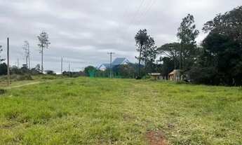 Imagem: Velleda oferece magnífico terreno em Águas