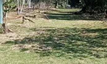 Imagem 6: Sítio no Ramal do Piauí