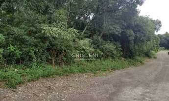 Imagem 5: TERRENO EM CANELA