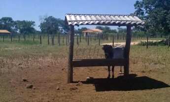 Imagem 5: Fazenda à Venda Porteira Fechada Januária/MG