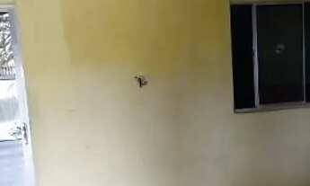 Imagem 3: Vende casa Casa com 2 dormitórios