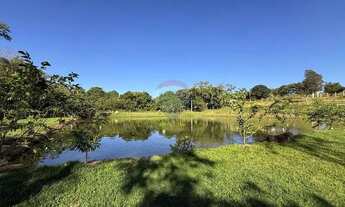 Imagem 7: Escapada Rural: Chacara de 10.000 m² em Itapira