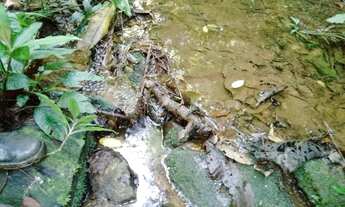 Imagem 2: Super oportunidade pegada ao centro de juquitiba 177 mil reais