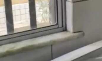 Imagem 3: Alugo apartamento Mobiliado no Gran Village Turu