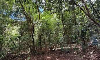 Imagem 7: Chácara para Venda em Senador Canedo, Sitios para Recreio Solar das Auroras, 6 dormitórios