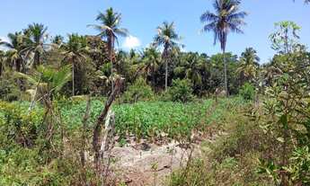 Imagem 4: Terreno no passo de Camaragibe bom perto da principal