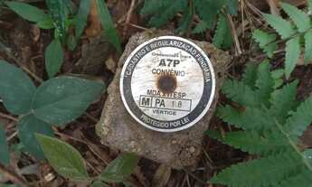 Imagem: 3 alqueires paulistas 111 mil reais