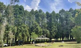 Imagem: Imóvel para venda com 500 metros quadrados