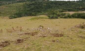 Imagem 3: 70 hectares de campo em São Francisco de Paula RS